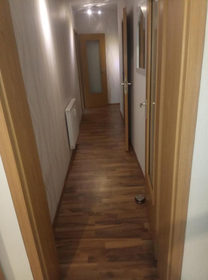 Ferienwohnung Rickyy Reichenbach im Vogtland Εξωτερικό φωτογραφία